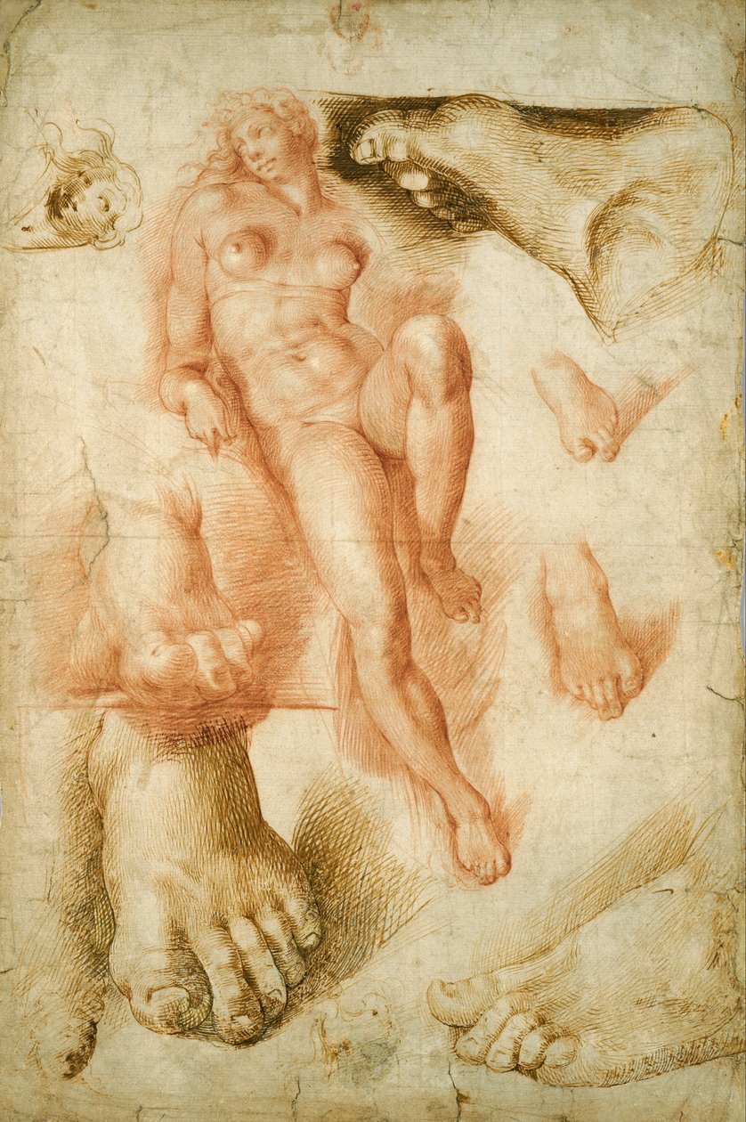 Kopie naar Michelangelo