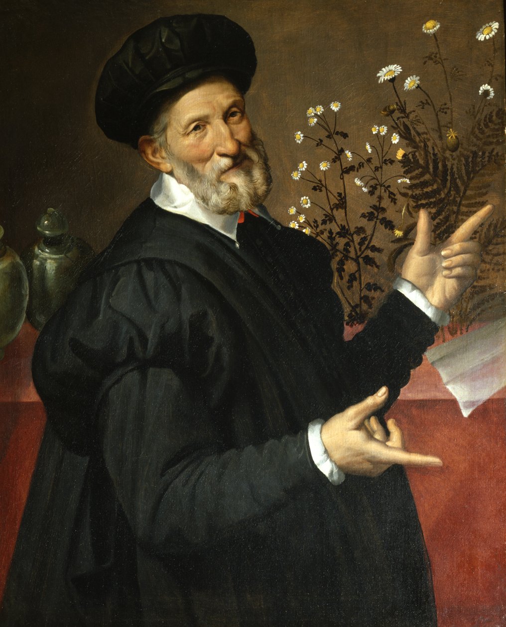 De Botanist door Bartolommeo Passerotti