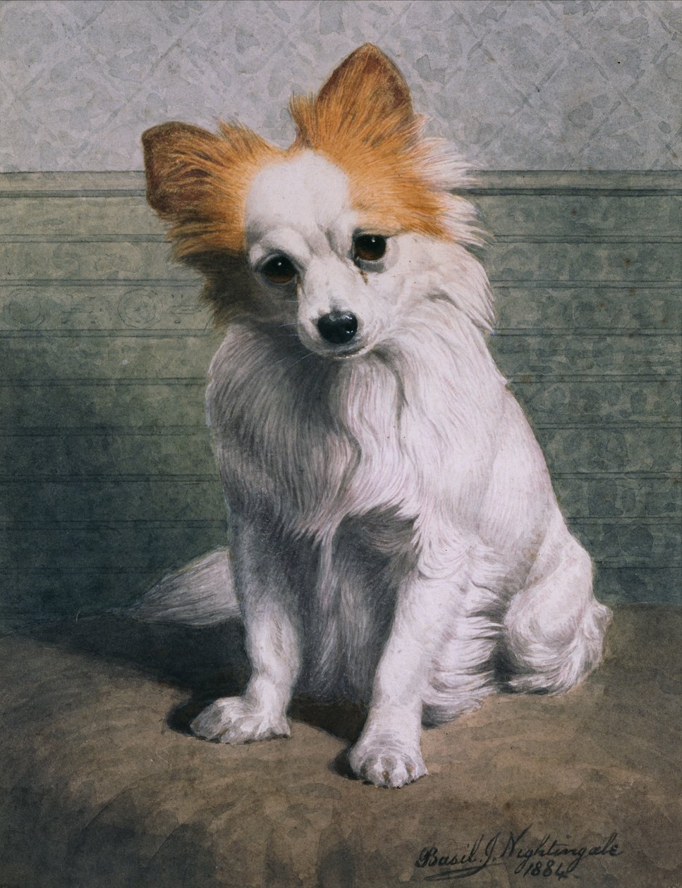 Speelgoedhond door Basil J. Nightingale