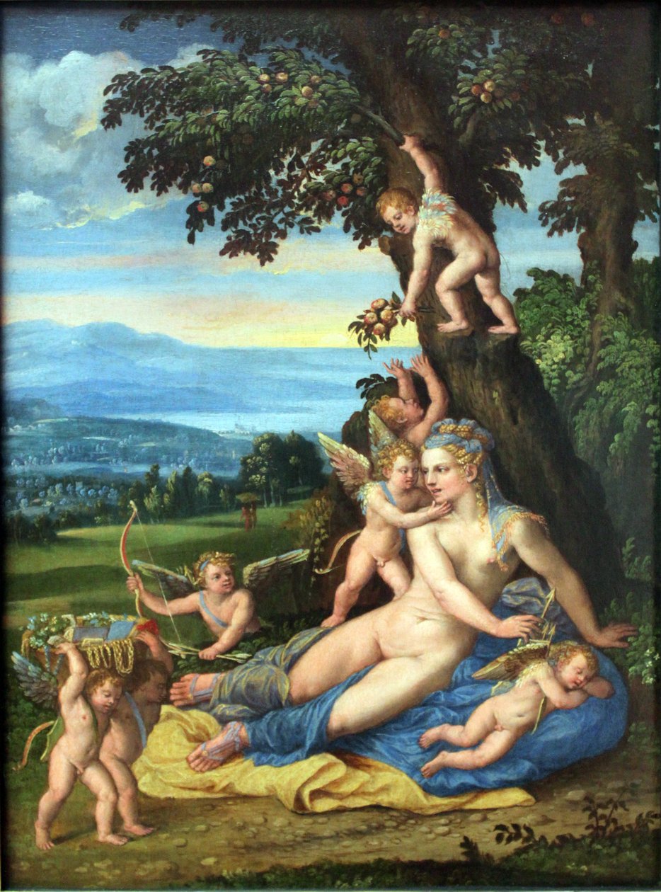 Venus en Cupido door Battista Dossi