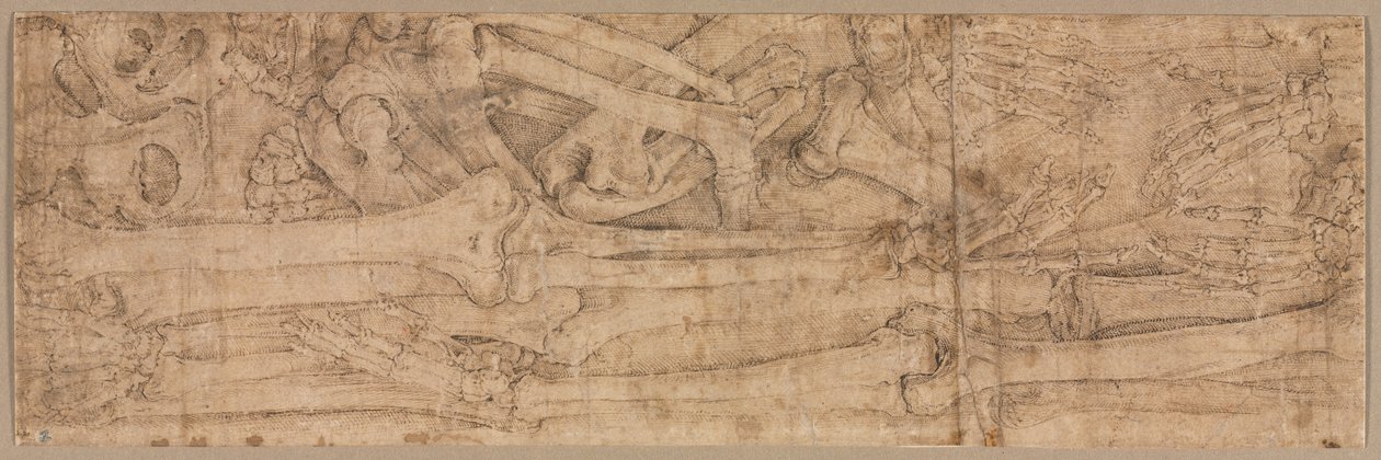 Armbotten, vroege 1540s door Battista Franco