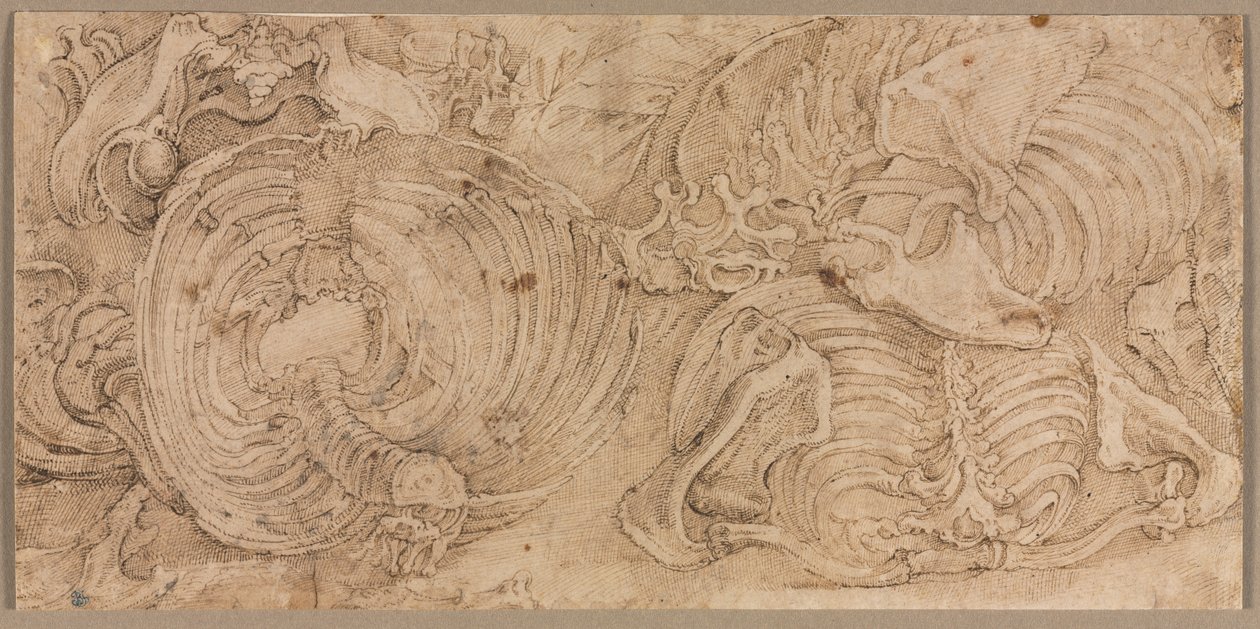 Ribbenkasten, vroege 1540s door Battista Franco