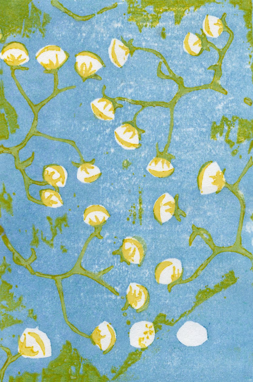 Pluizige zaadhoofden, 2012 door Bella Larsson