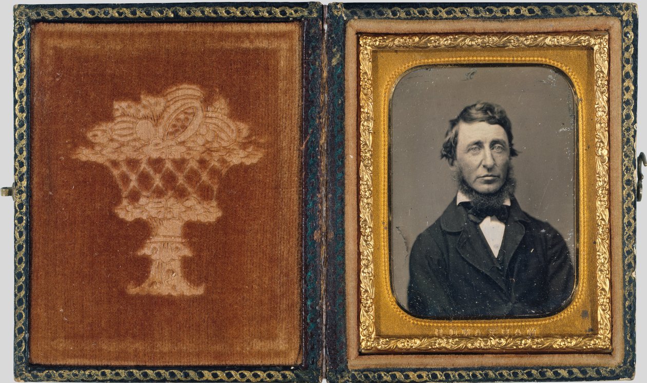 Henry David Thoreau door Benjamin D. Maxham