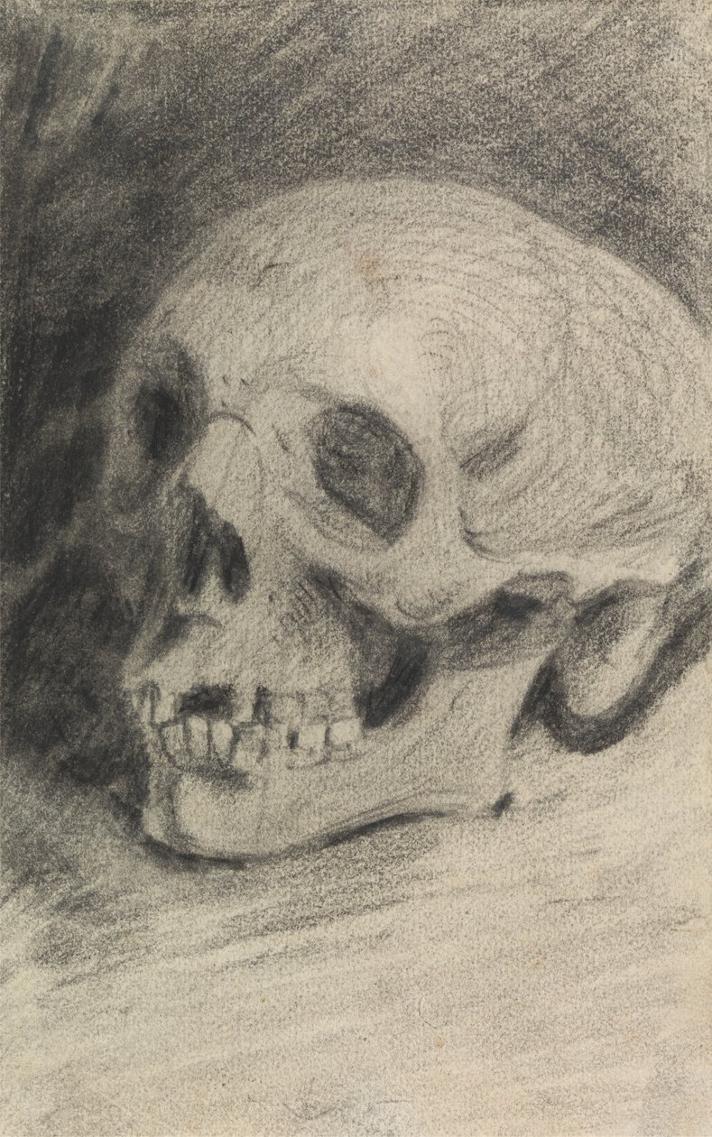 Studie van een Schedel door Benjamin Robert Haydon