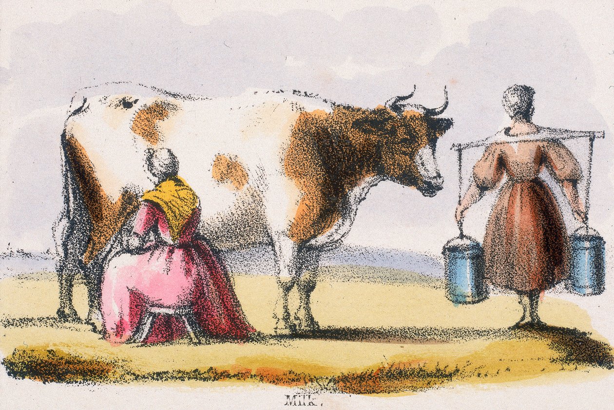 Melk, ca. 1845 door Benjamin Waterhouse Hawkins