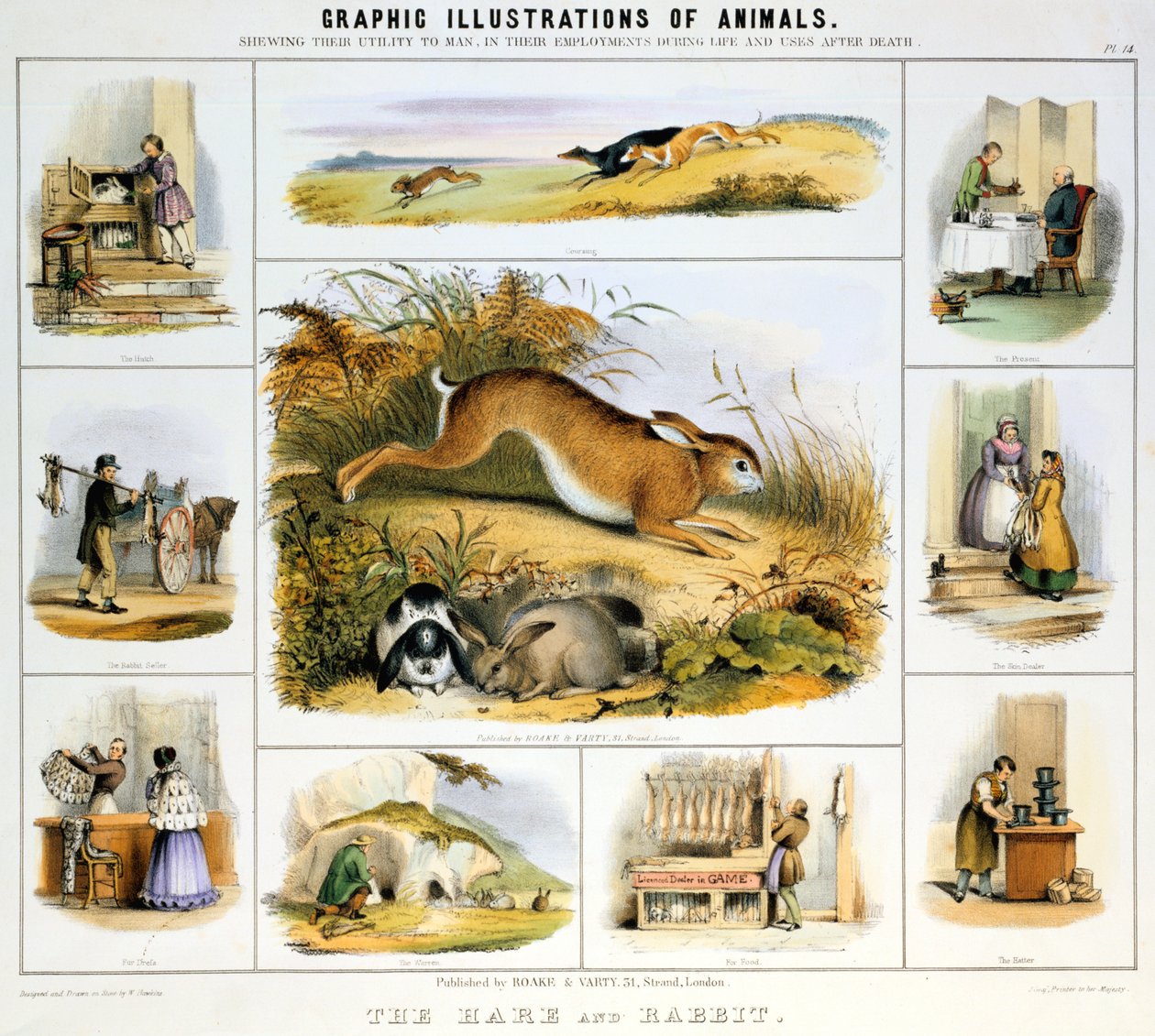 De Haas en het Konijn, c1850 door Benjamin Waterhouse Hawkins