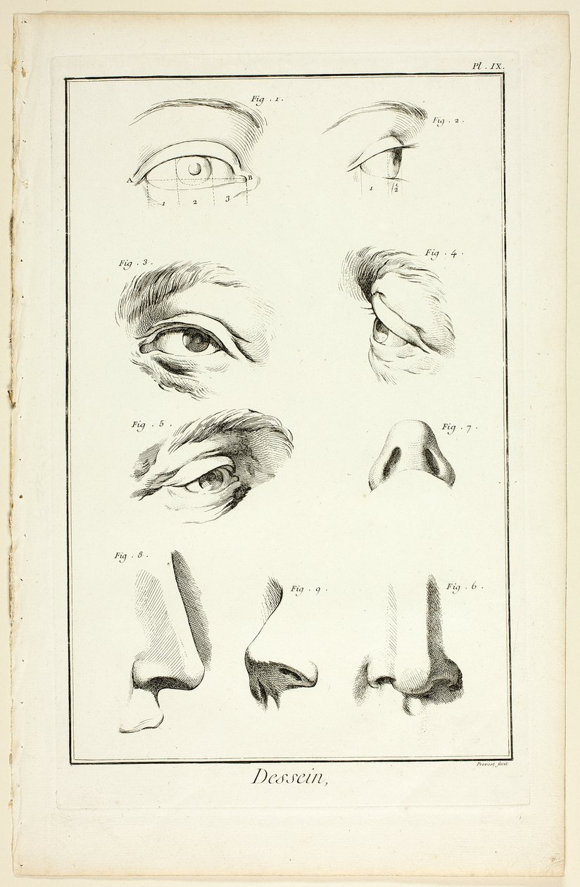 Ontwerp: Gezichtsanatomie uit Encyclopédie door Benoit Louis Prevost