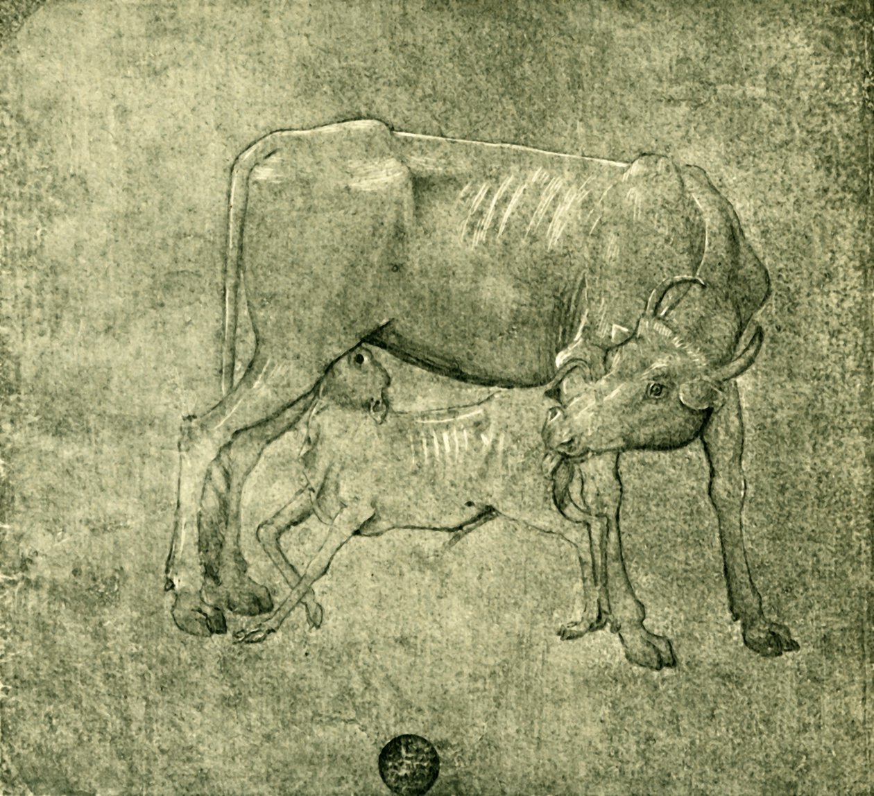 Koe en kalf, midden-late 15e eeuw, 1943 door Benozzo Gozzoli