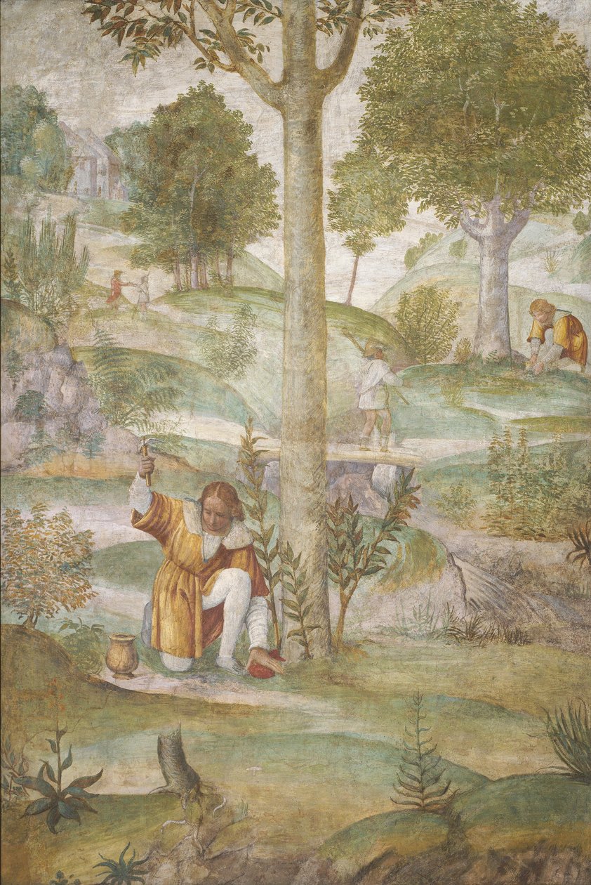 Cephalus die de juwelen verbergt, ca. 1520-1522 door Bernardino Luini