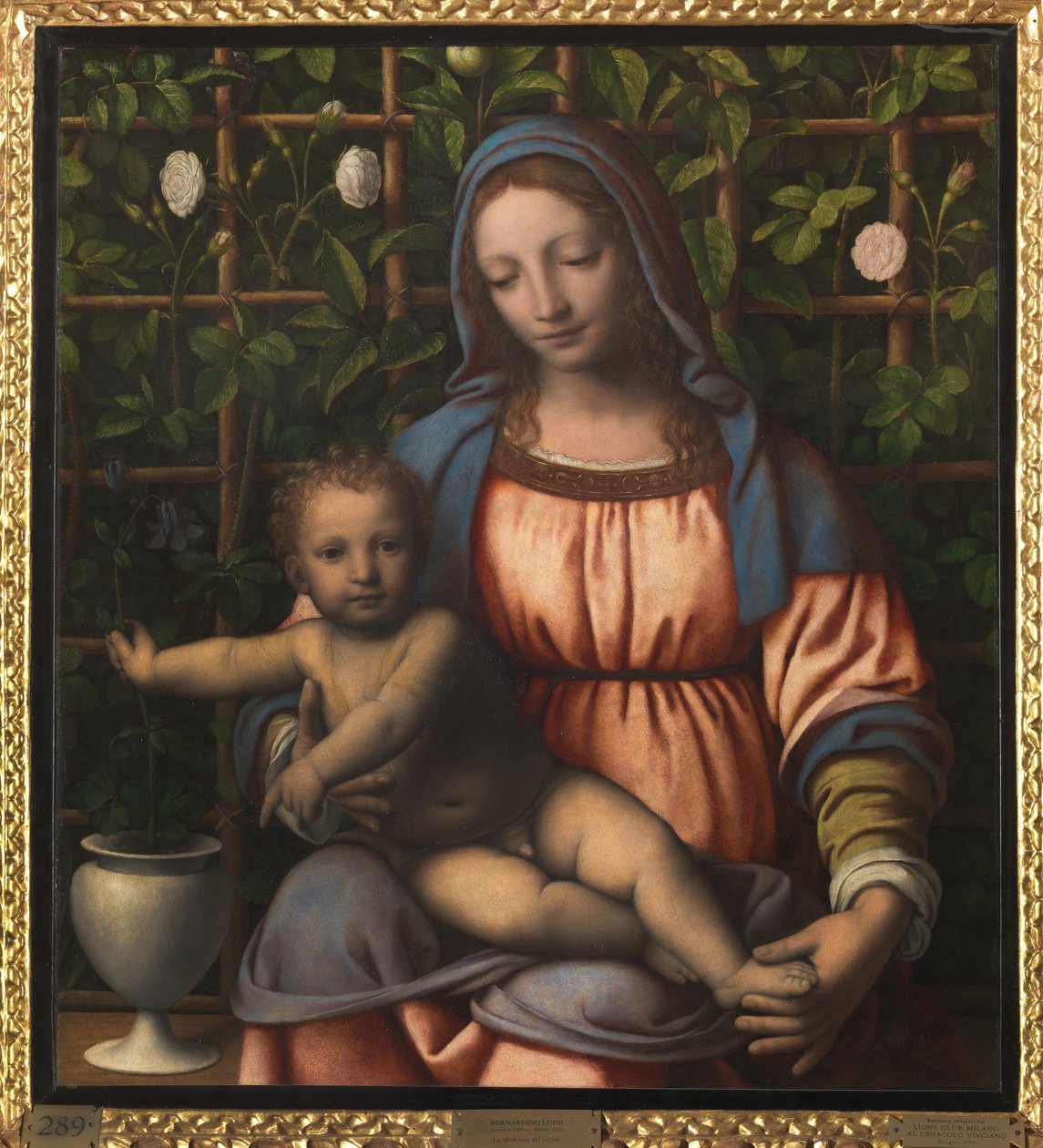 Madonna en Kind (Madonna del Roseto) door Bernardino Luini