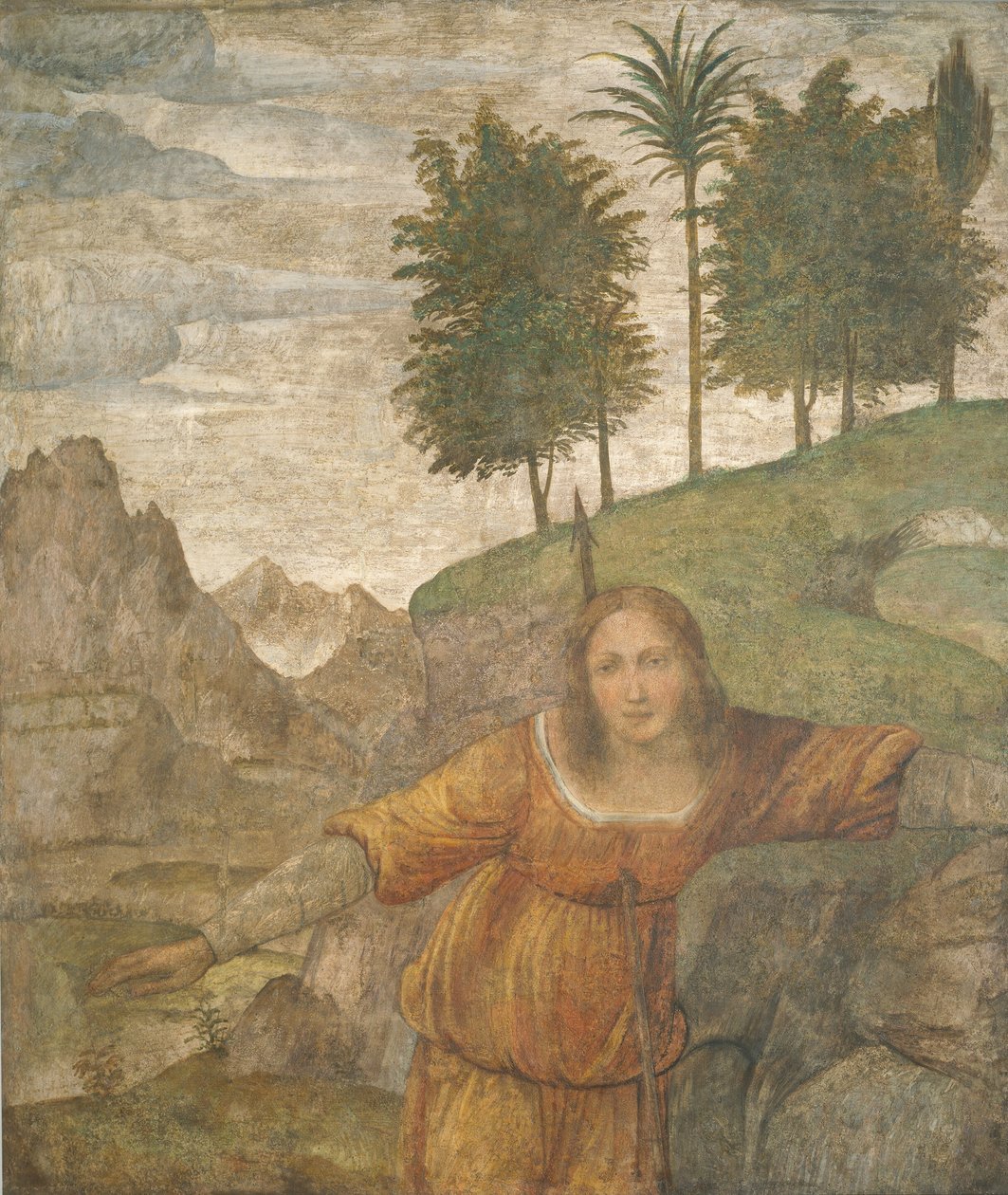 Procris Doorboord door Cephalus