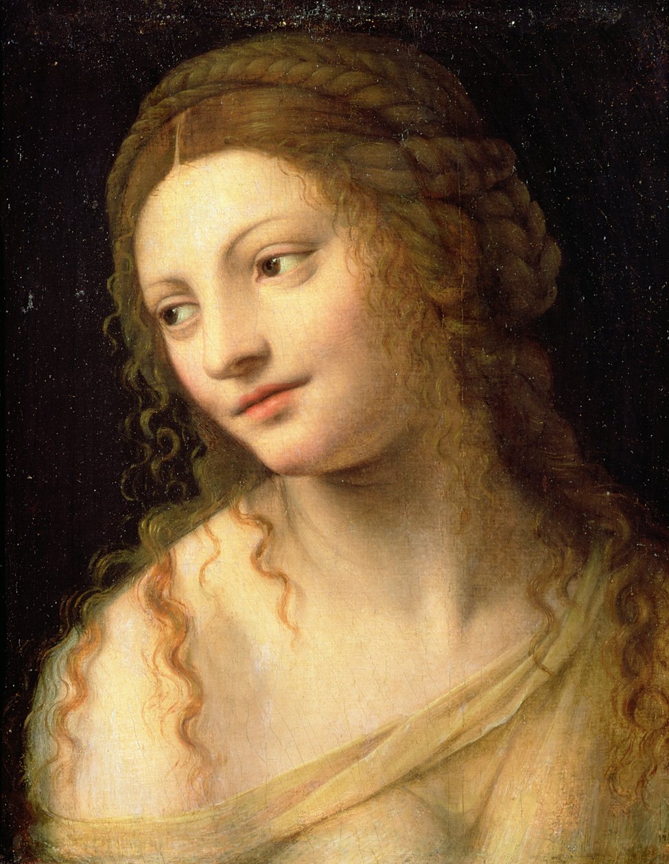 Onbekend schilderij door Bernardino Luini