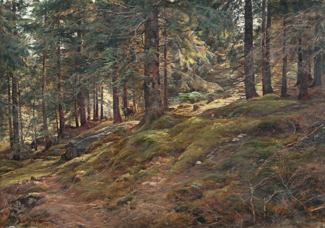 Licht in het bos door Berndt Lindholm