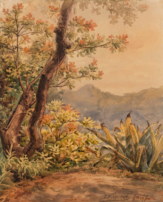Braziliaans landschap met agave door Bernhard Wiegandt