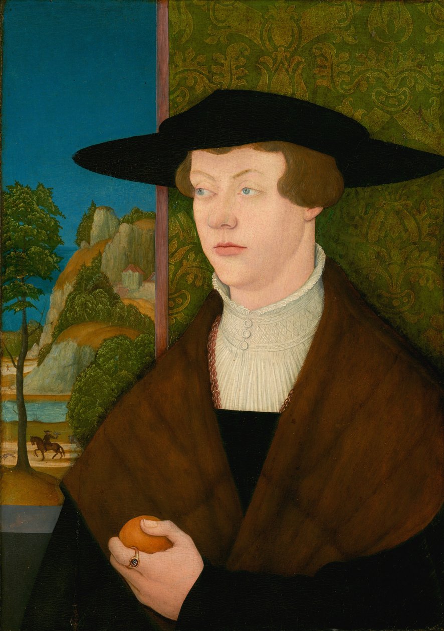 Hans Roth [voorzijde] door Bernhard Strigel