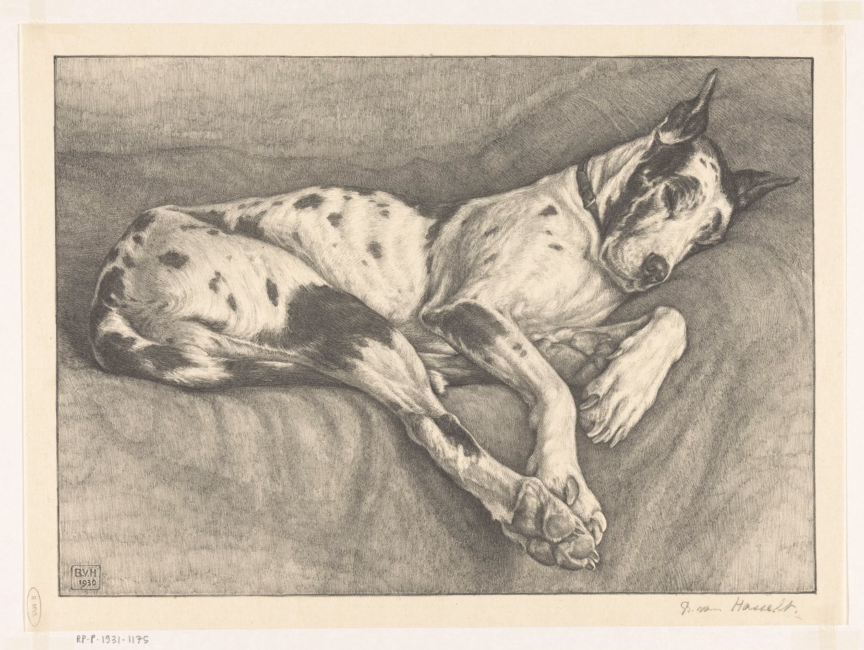 Slapende hond door Bertha van Hasselt (signed by artist)