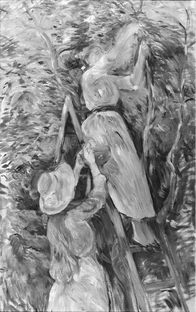 Kersen plukken, 1891 door Berthe Morisot
