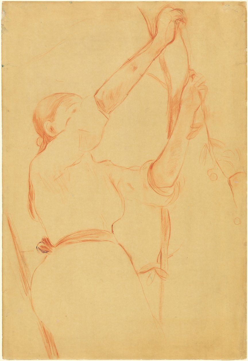 Meisje dat kersen plukt door Berthe Morisot