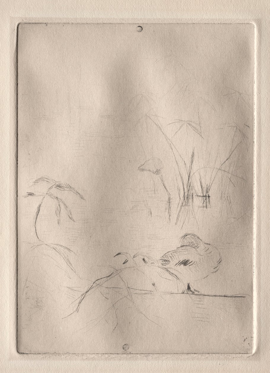 De eend door Berthe Morisot