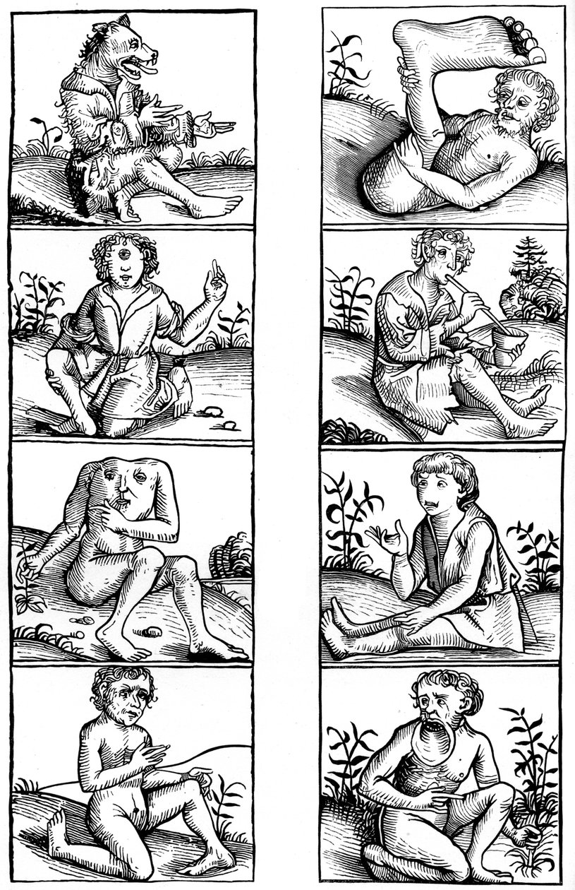 Geloof en volksbijgeloof. 1493 1849 door Bisson and Cottard