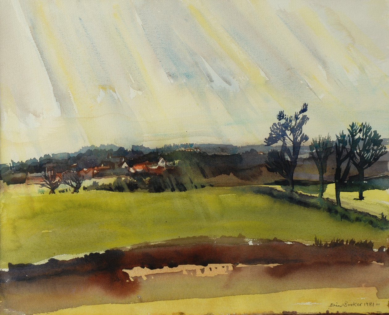 Regenachtige Ochtend, 1981 door Brenda Brin Booker