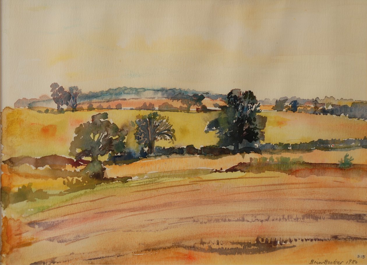 Suffolk Landschap, 1980 door Brenda Brin Booker