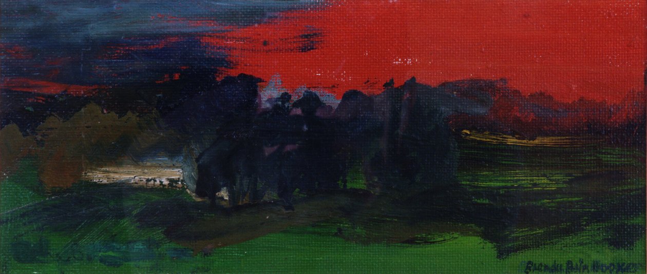 Landschap met een Rode Lucht door Brenda Brin Booker