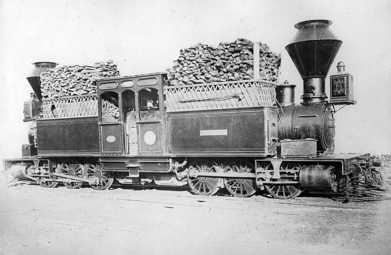 Een Dubbele Fairlie Locomotief door British Photographer