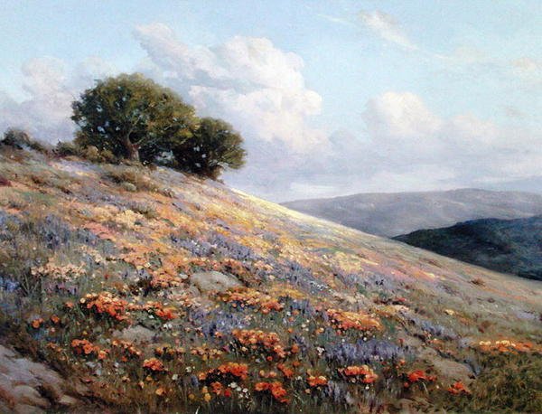 Zomerbloei door Bruce Crane