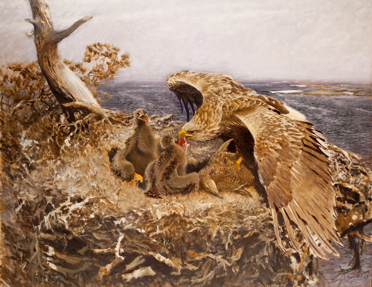 Zeearendnest, 1907 door Bruno Andreas Liljefors