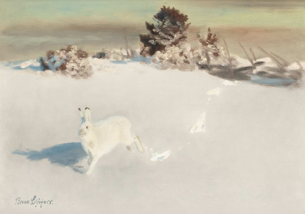 Winterhaas bij hek door Bruno Andreas Liljefors