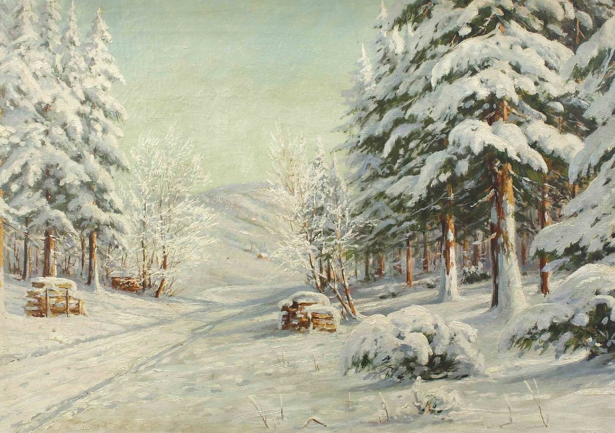 Winterlandschap door Bruno Moras