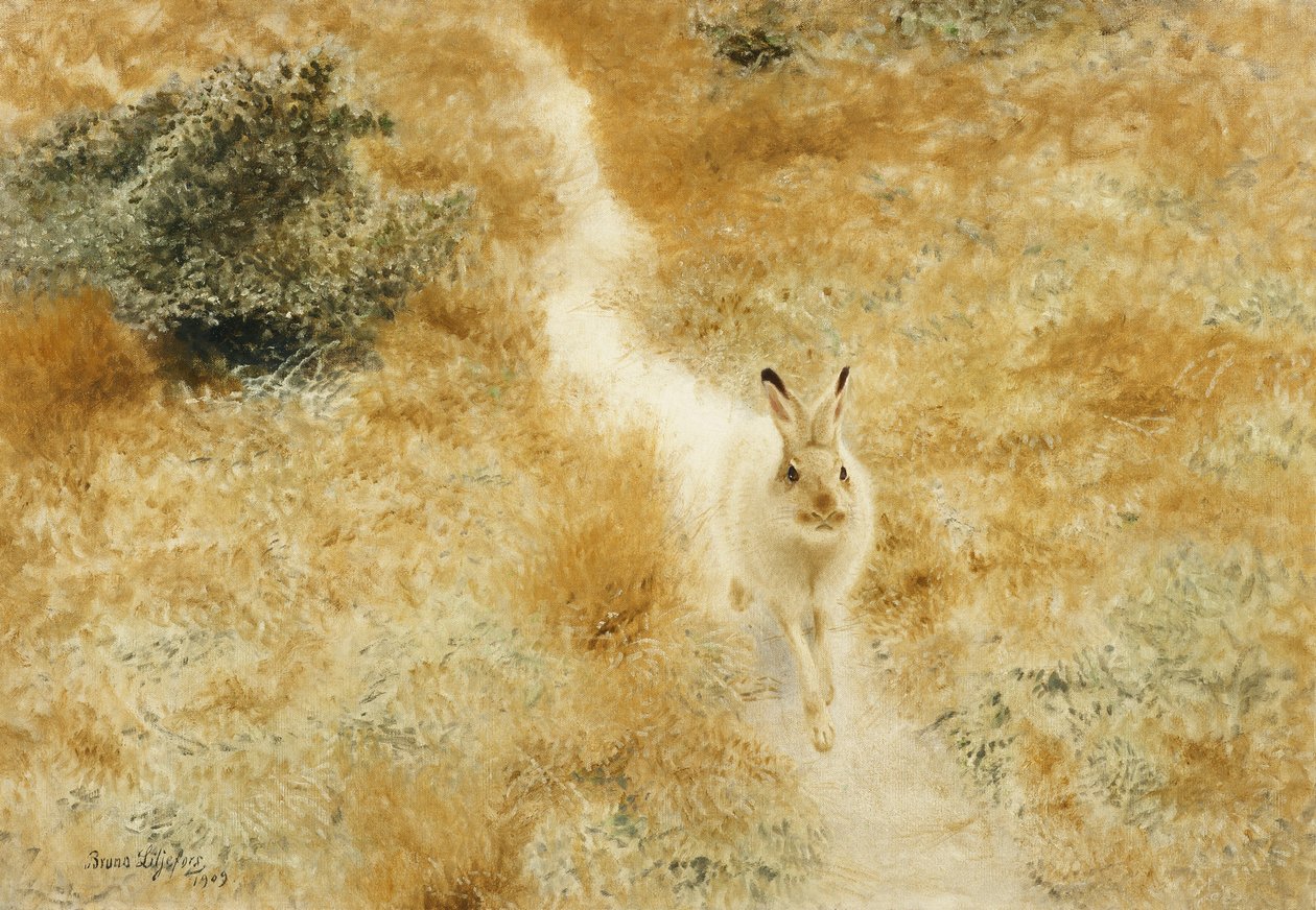 Een Winterhaas in een Landschap door Bruno Andreas Liljefors