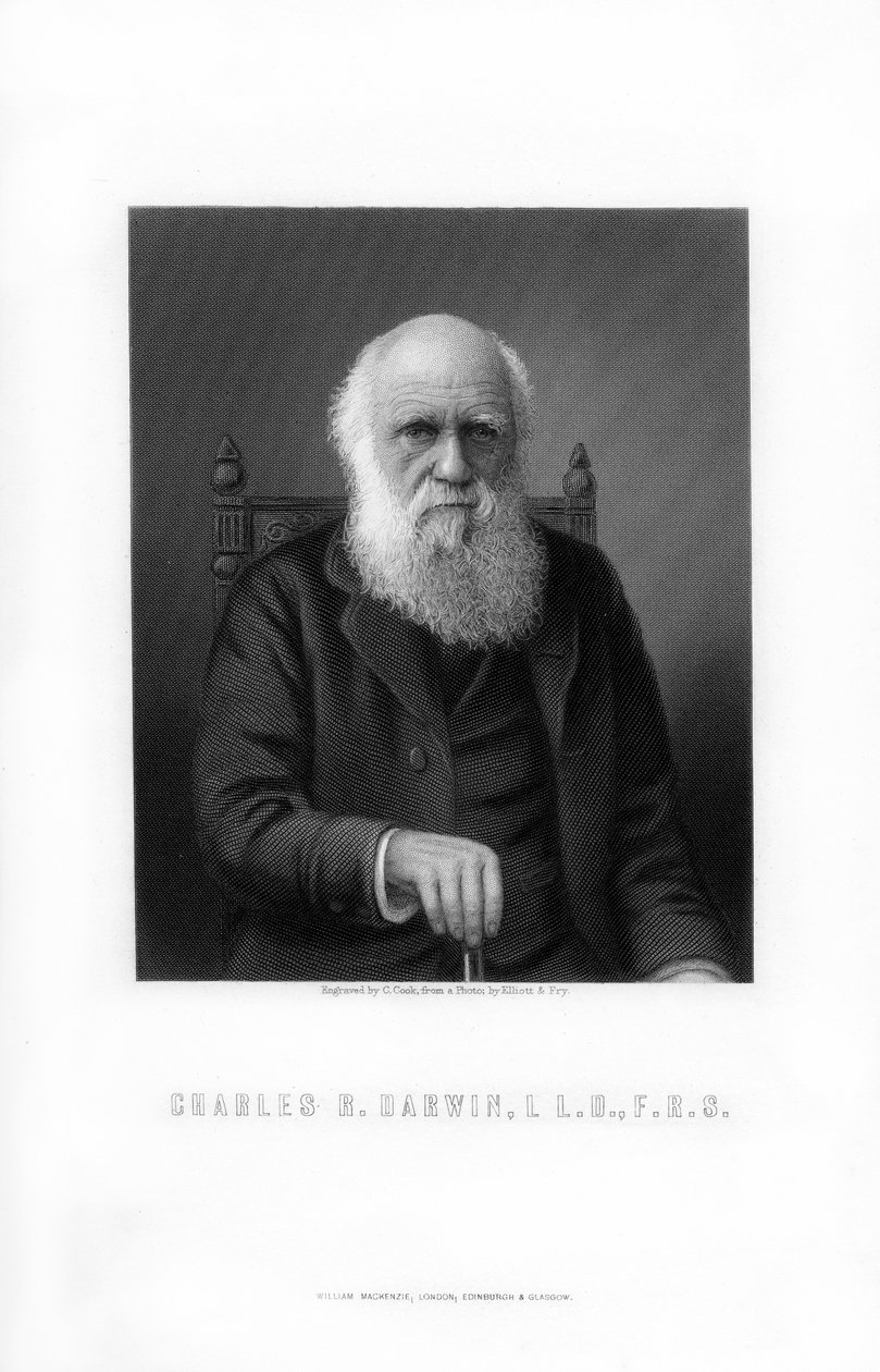 Charles Darwin, Britse natuuronderzoeker, 1899 door C. Cook