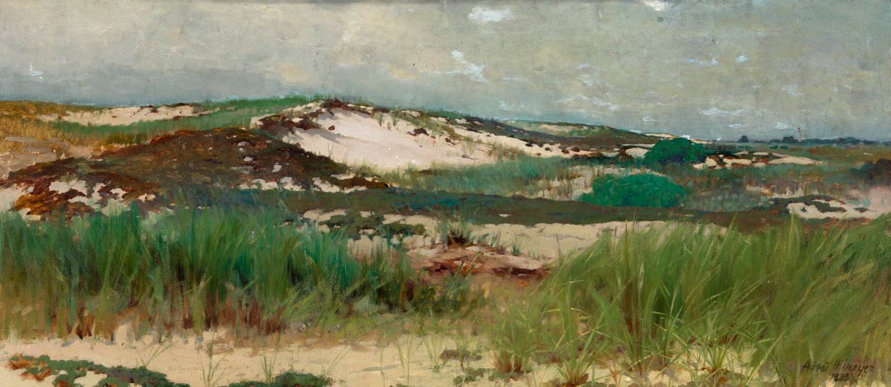 Nantucket Zandduin door C. Morgan McIlhenney
