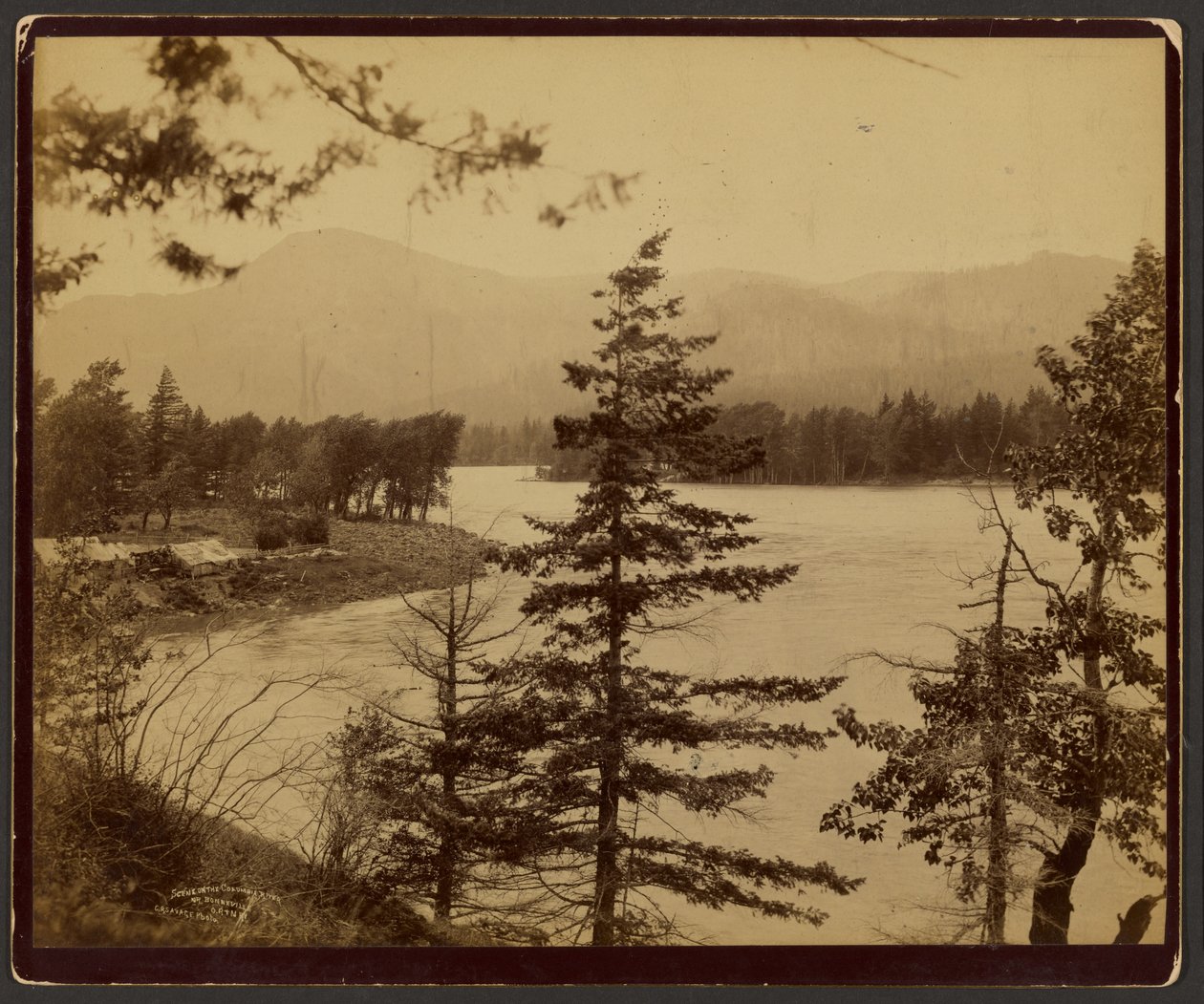 Scène op de rivier de Columbia door C. R. Savage