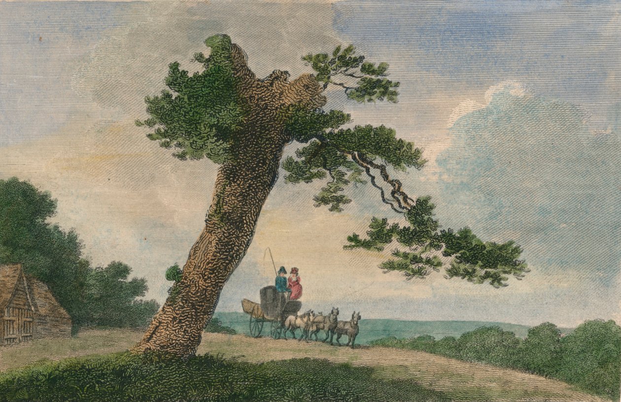 Landelijk Onderwerp, 1804 door C Taylor