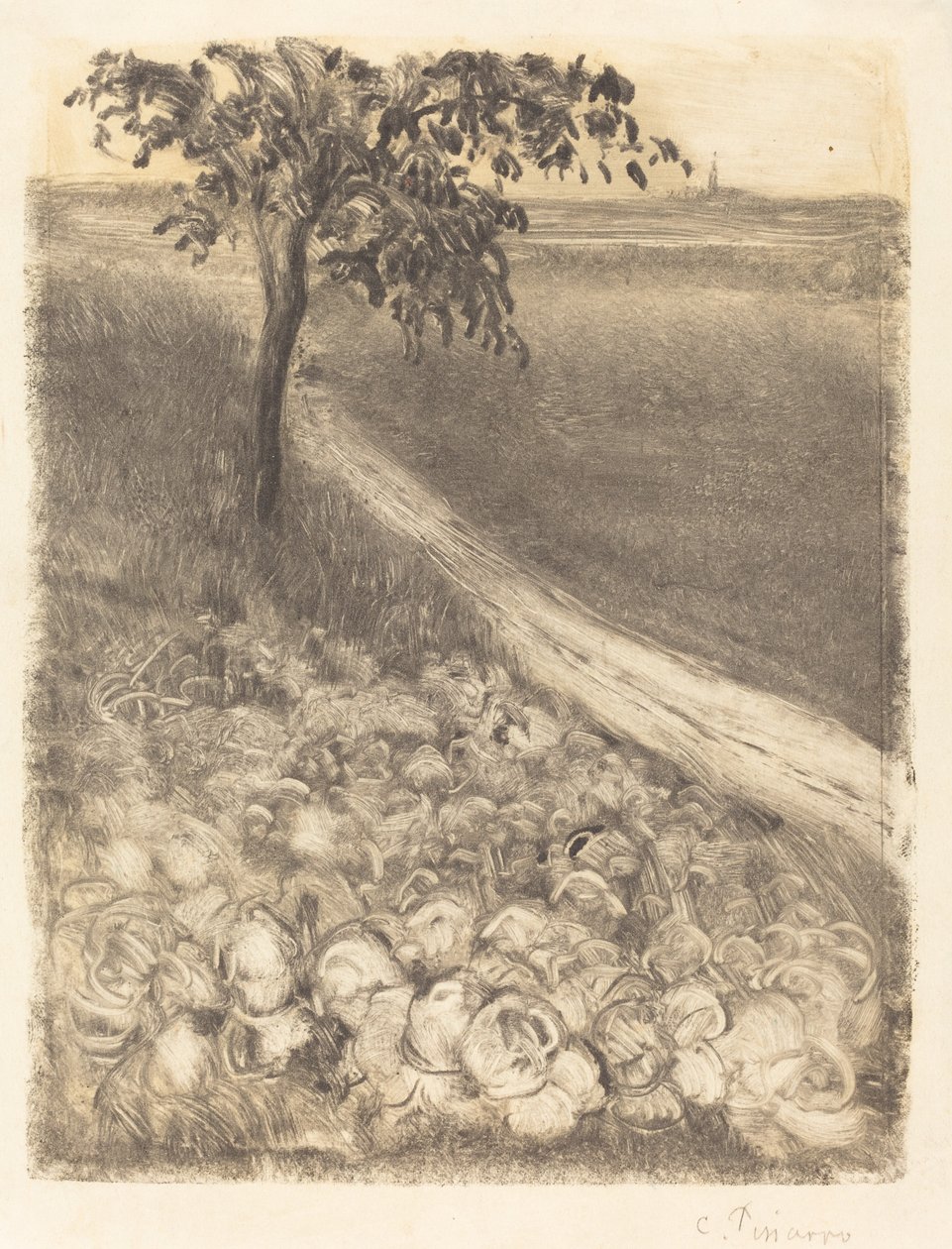 Weg langs een veld met kool door Camille Pissarro