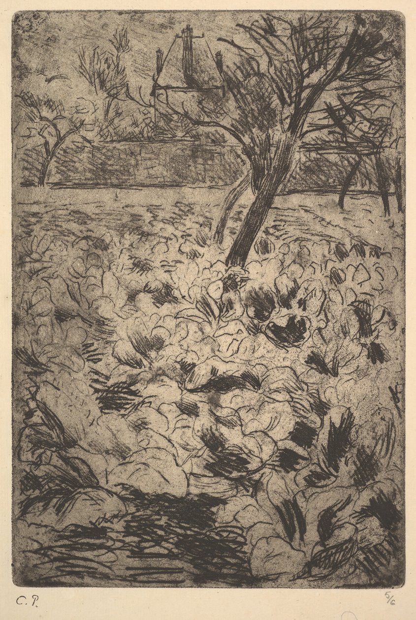 Het koolveld door Camille Jacob Pissarro
