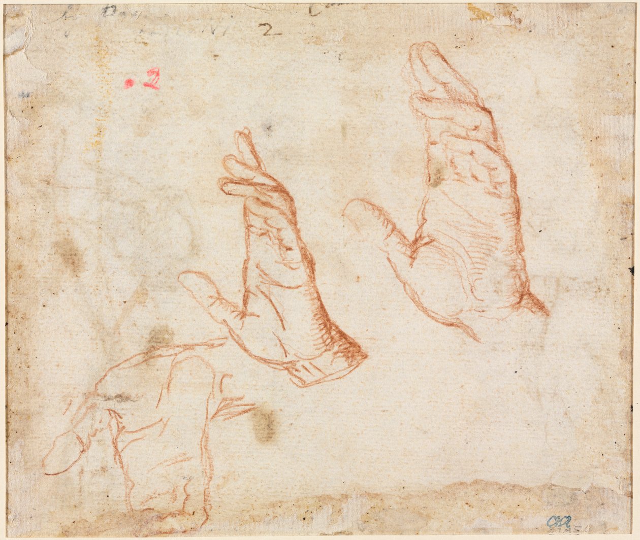 Studie van Handen (verso) door Camillo Procaccini