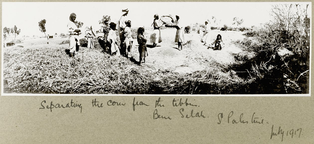 Bedoeïenen die graan scheiden, Beni Saleh, juli 1917 door Capt. Arthur Rhodes