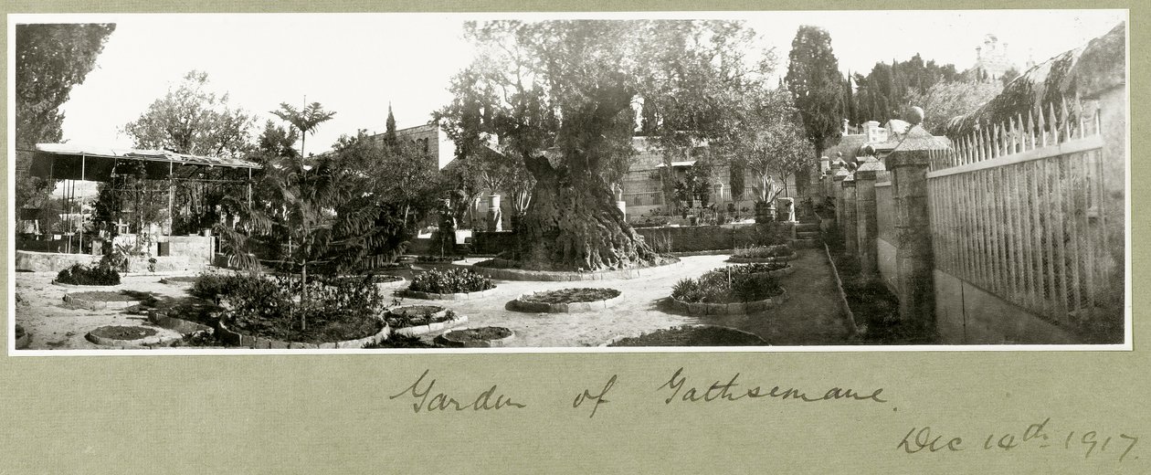 Tuin van Gethsemane, 14 december 1917 door Capt. Arthur Rhodes
