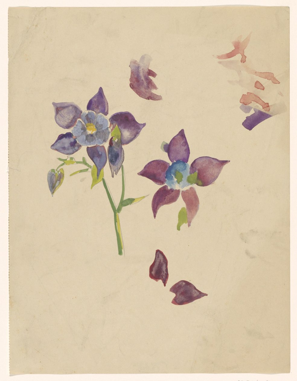 Bloemenstudie door Carel Adolph Lion Cachet