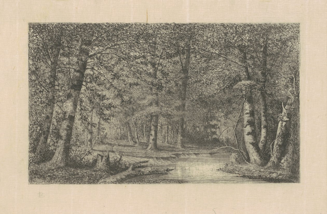 Beukenbos door Carl C. Brenner