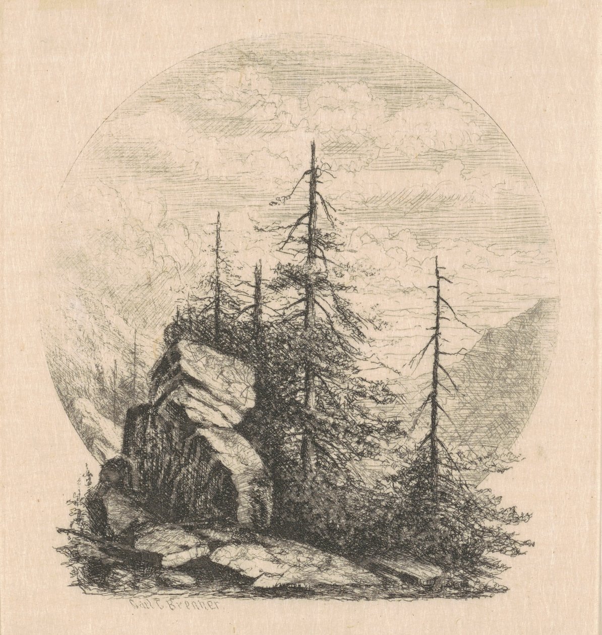 Pijnbomen door Carl C. Brenner