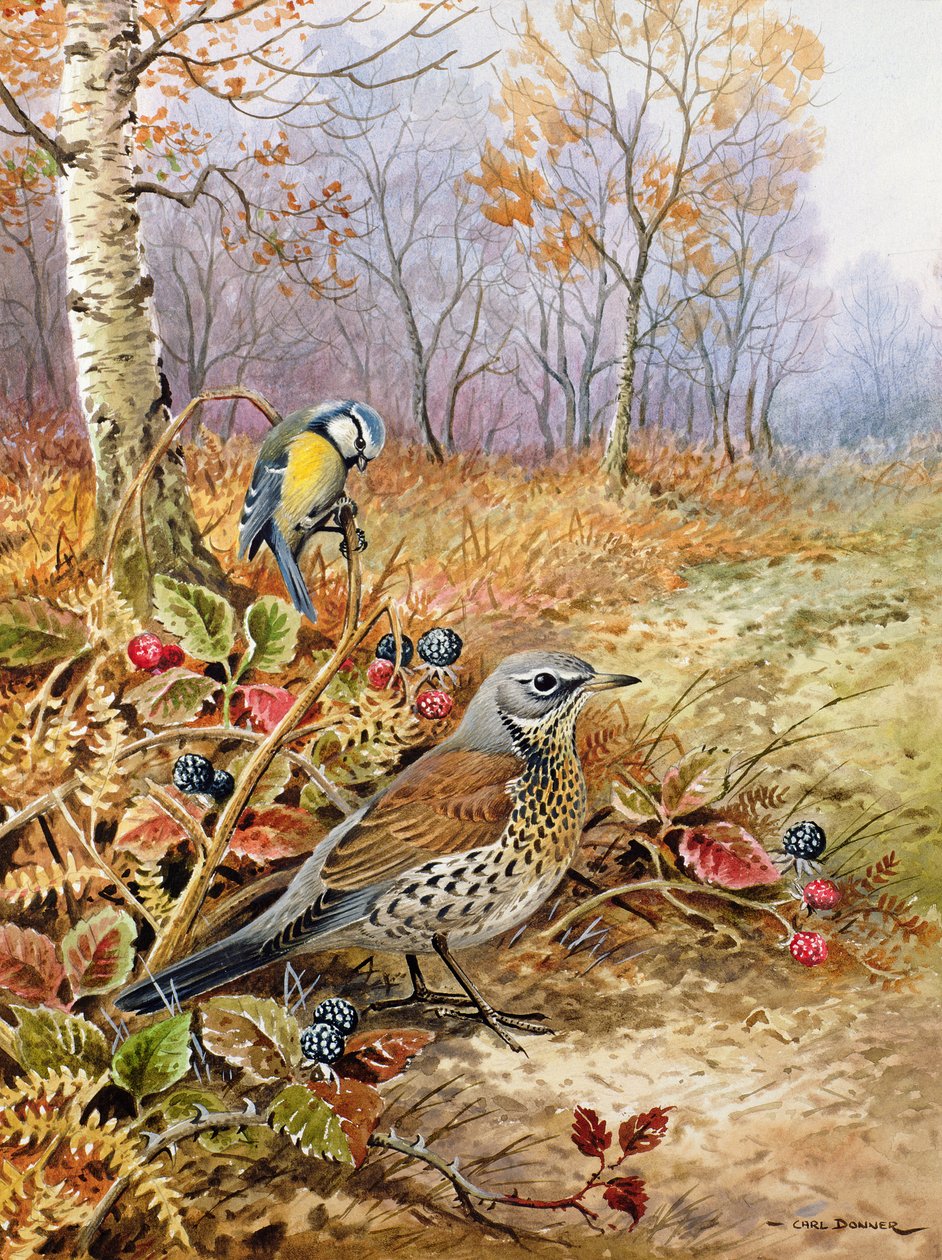 Kramsvogel en Pimpelmees door Carl Donner
