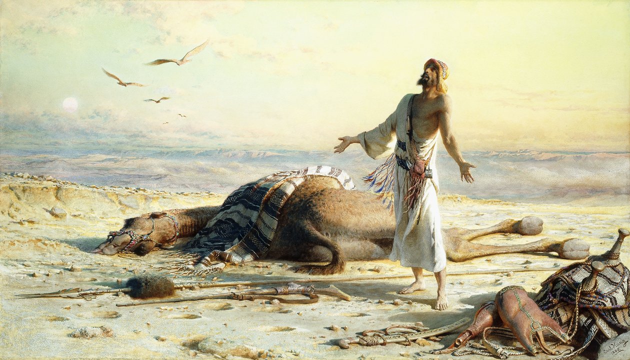 Scheepswrak in de Woestijn, 1886 door Carl Haag