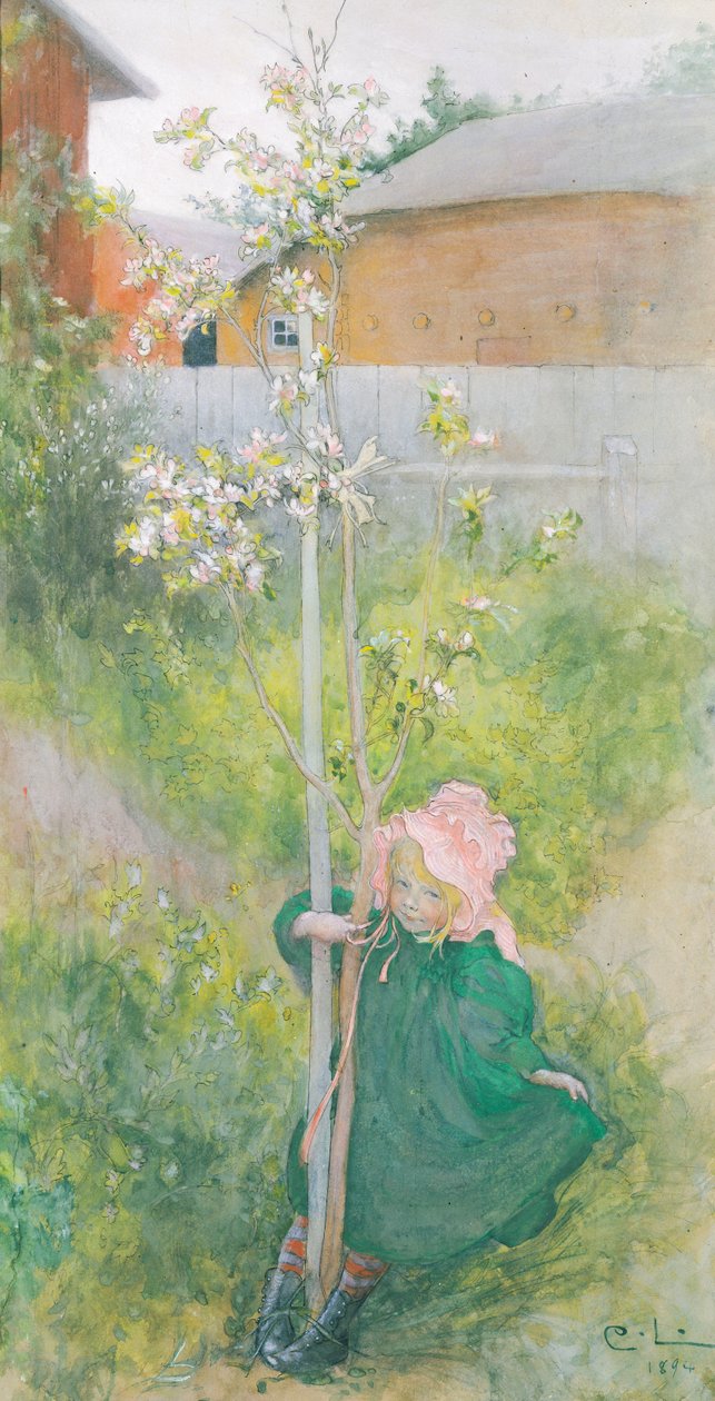 Appelbloesem, 1894 door Carl Larsson