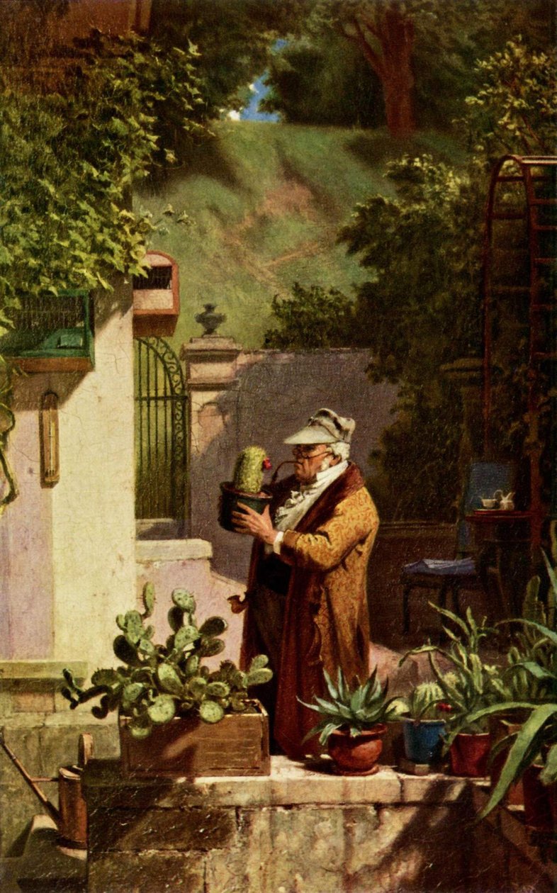 Cactus door Carl Spitzweg